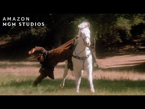 Horseback Riding Rescue Scene