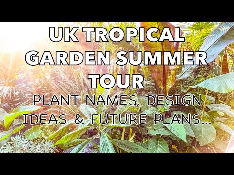 UK Tropical Jungle Garden - Summer Progress Tour!