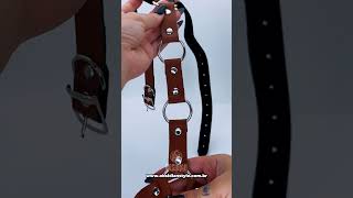 Vídeo de Harness Axinita Marrom