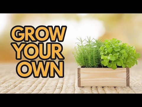 Grow Your Own Food: A Beginner's Guide to Home Gardening