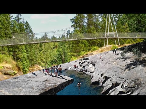 Englishman river regional park top bridge/ Englishman river top bridge/ attraction in Parksville/