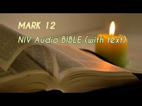 Mark 12 : NIV Audio BIBLE (with text)