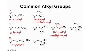 Common Alkyl Groups