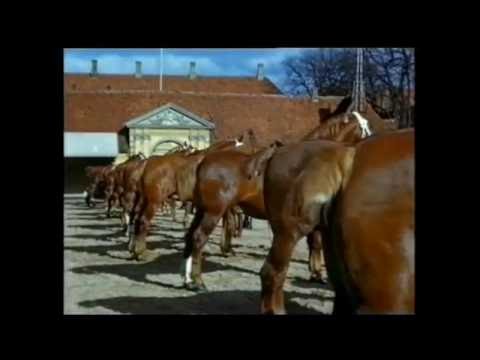 Roskilde fra vår til høst 1952 og byfesten 1949