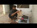 Ramzan Jani 3012