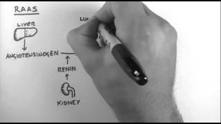 Renin-Angiotensin-Aldosterone System