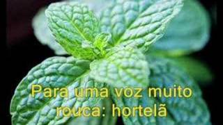 Marisa Monte - Diariamente