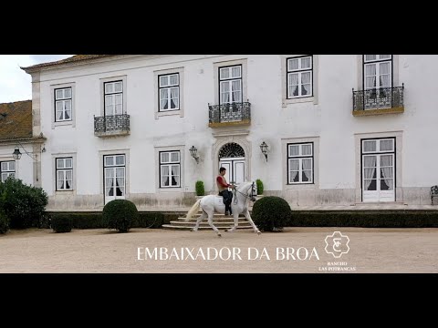 EMBAIXADOR DA BROA :LAS POTRANCAS (PORTUGAL, 2023)