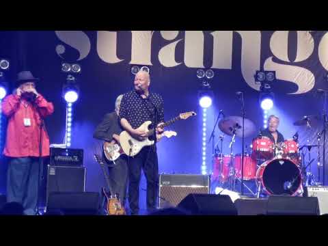 Knut Reiersrud og Dance With a Stranger. Hell Bluesfest 2020