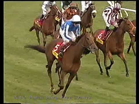 2002 Dubai Duty Free Stakes Queens Logic Inc Replay