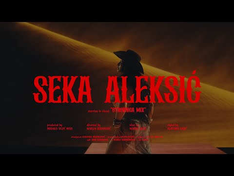 Seka Aleksic - Otrovnica Mix | Official Video (Remake 2025)