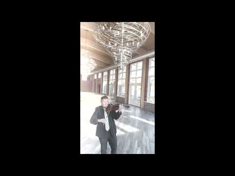 Entertainment-VIOLIN PLAYER
