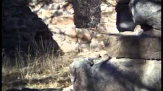 Music video thumbnail preview for A Deer A Horse -Wild Side by A Deer A Horse