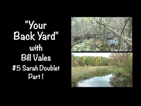 Your Back Yard #5, Sarah Doublet, Part 1, Littleton, MA