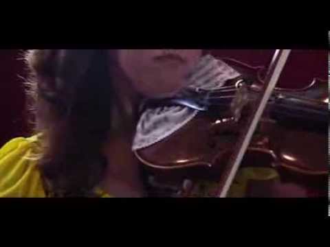 Trébol de Santiago - St. Patrick s Day