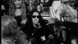 34 I Fought The Law   Viper