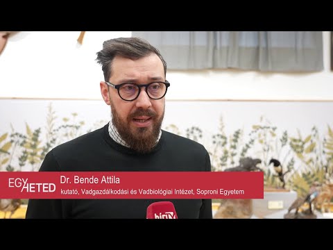 Egyheted – közéleti magazin – 2025.11.27.– Csütörtök