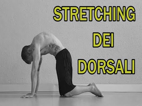 Sostituzione del ginocchio a Gomel Che possono far male in basso a sinistra della schiena