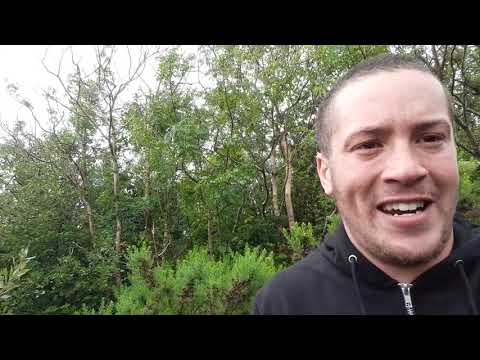 The Famous Rock - New Money Remix (Music Video)