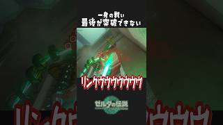 【#ゼルダの伝説 】30分かけてクリアした一身の戦いをいとも簡単にクリアしたかのように饒舌になる実況者#ティアキン #zelda #ゲーム実況 #gaming