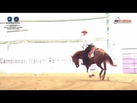 Futurity 2020 - DAVIDE BRIGHENTI & XTRA PISTOLFORWIMPY score 142,5