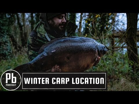 WINTER CARP LOCATION AND BAIT EDGES (scalded pellet)