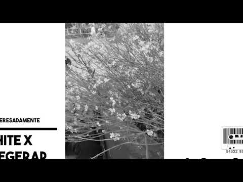 White-Desinteresadamente (Con Shegerap)(Prod La Odisea)