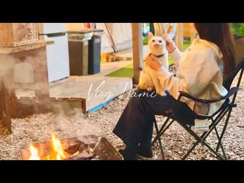 Camping with Cats: A Cat Came to Warm Up at My Bonfire｜Living Alone in Japan VLOG