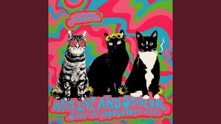 Can&#39;t Lose (Acoustic)