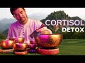 **INSTANT STRESS RELIEF** Tibetan Singing Bowl Sound Bath | Nervous System Reset Meditation