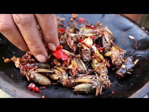 Survival skills: Find crickets In the ground & grilled for food - Cooking crickets eating delicious Video