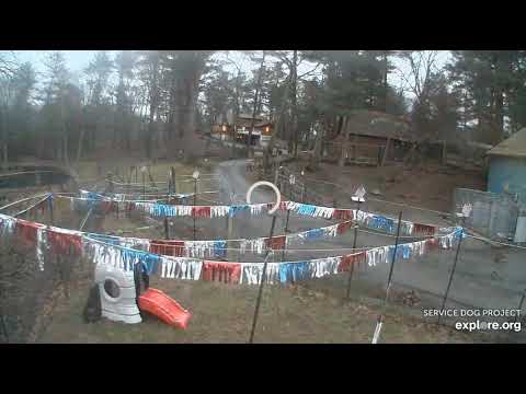 Another day comes to an end SDP 1110pm 422020