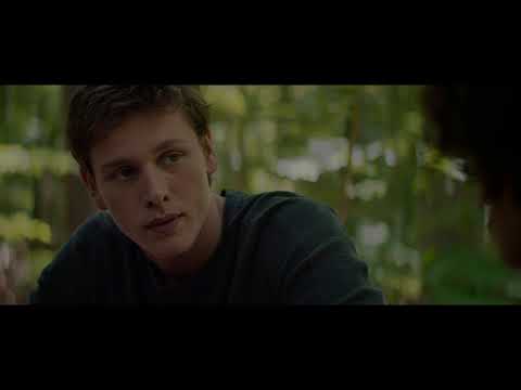 Тёмные отражения