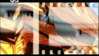 TORTOISE - "The Suspension Bridge At Iguazú Falls" - (TNT)