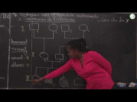 Course - Terminale L - SVT: Human Heredity / Ms. Cissé