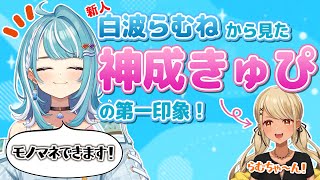 - 新人白波らむねから見た先輩神成きゅぴの第一印象は?【ぶいすぽっ!神成きゅぴ切り抜き】