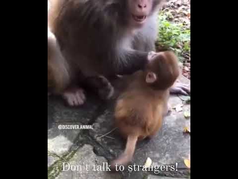 Don't talk to strangers