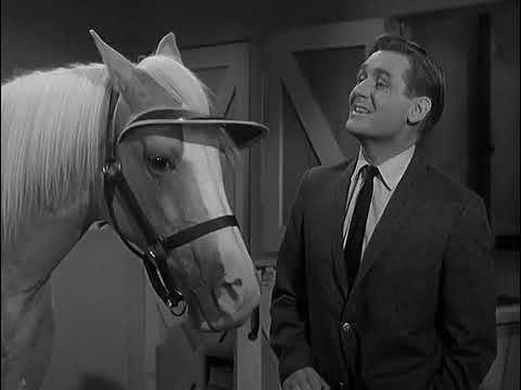 Mister Ending Cute / Funny Pt.2