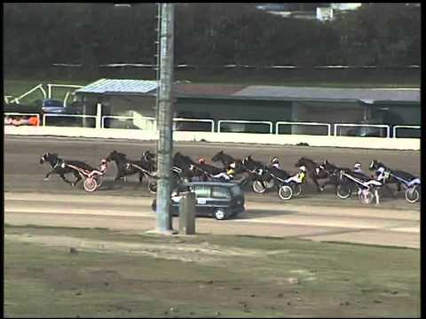 Trotto 12/10/2014 - 5°corsa