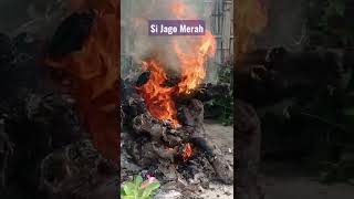 Download lagu Nyalakan Api #shorts mp3