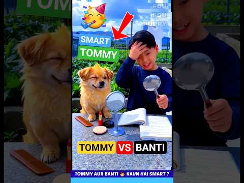 टॉमी और बंटी की चुनौती 😄 Makeup challenge 💄 Funny dogs videos #dog #tommy #puppy