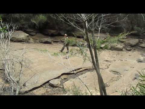 A once-permanent pool of water in the Waratah Rivulet is drained dry by cracks in the bedrock
