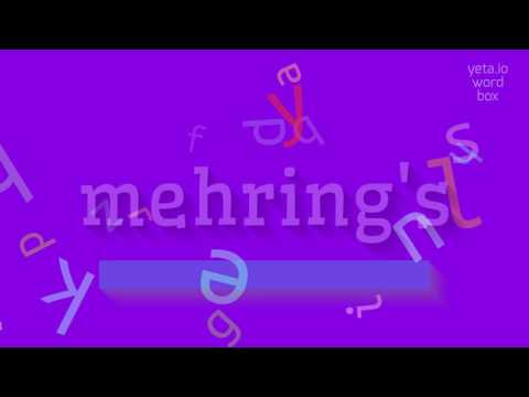 How to say "mehring's"! (High Quality Voices)