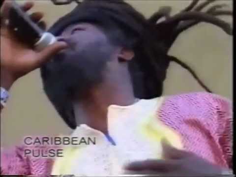 Caribbean Pulse Live at Reggae in the Park San Francisco Part 1 of 3