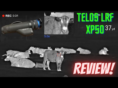 Pulsar Telos LRF XQ35 Thermal Monocular- Full Review! 