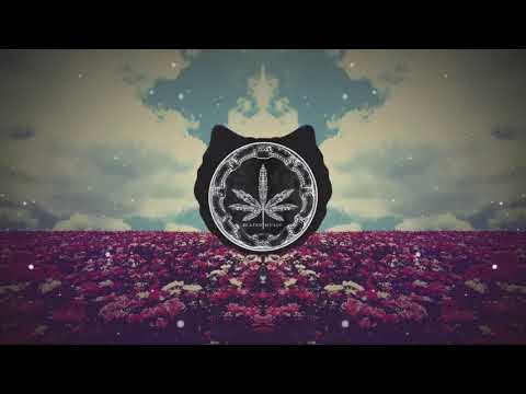 Wu Tang Clan - Back In The Game (Phoniks Remix) [ 1 Hour Loop - Sleep Song ]