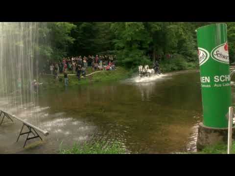 Andreas Ruschitzka - Österreich - Brigach-Durchfahrt