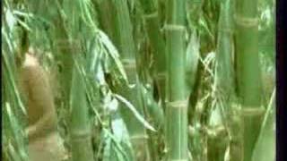 Download lagu Si Pitung 2 - Part 10/11 mp3 Download lagu Si Pitung 2 - Part 10/11 mp3