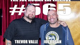 Joe Rogan Experience #565 - Trevor Valle