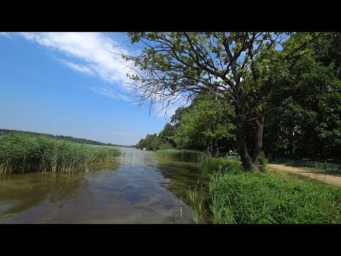 Влог/Едем купаться на озеро Бисерово/Бисерово в июне/Никаких удобств для отдыхающих